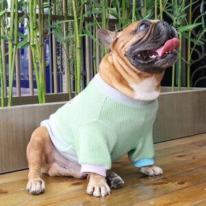 iChoue Dog Crewneck Color Block Sweater Sweatshirt for for French Bulldog Pugs +